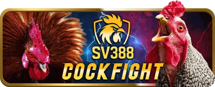 Các chương trình khuyến mãi và tiền thưởng tại game bg88